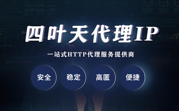 【澄迈代理IP】代理ip客户端使用教程